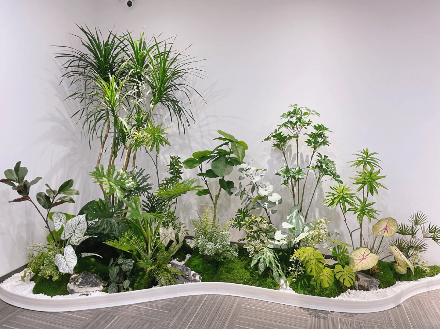 专业的力量！北仑植物出租超靠谱